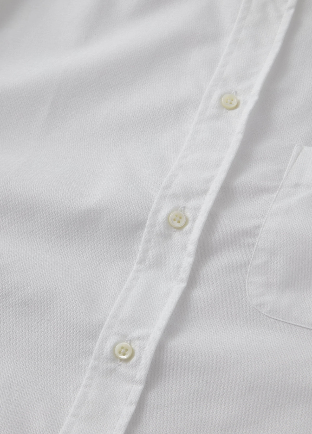 Button Down Shirt