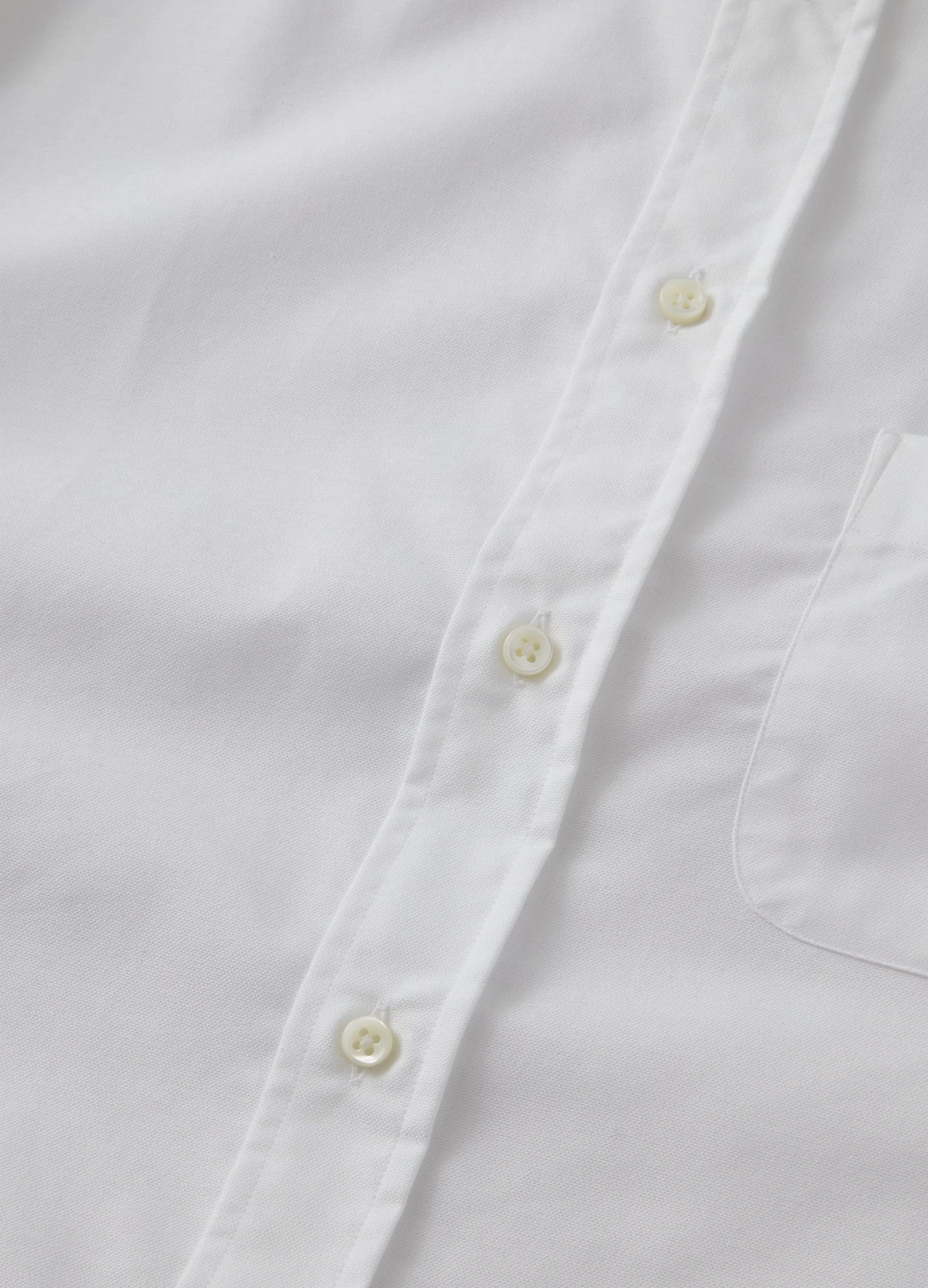Button Down Shirt